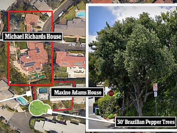 Michale and Beth were sued for cutting down a tree.